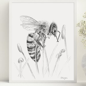 Druckbare Honigbiene Kunstdruck, Honigbiene Graphit Bleistift Zeichnung Wandkunst, Honigbiene Skizze, Natur Poster INSTANT DOWNLOAD