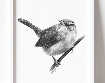 PRINTABLE Wren Art Print, Wren Pencil Drawing Wall Art, Garden Bird Sketch, Jenny Wren Wildlife Poster INSTANT DOWNLOAD