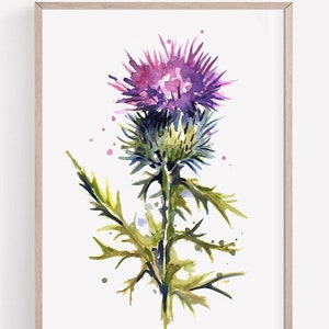 Thistle Art PRINT, Watercolour Scottish Thistle Print, Spear Thistle Painting, Scotland National Flower, Print from an Original Painting
