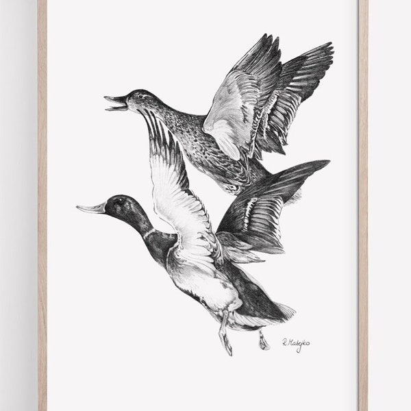 PRINTABLE Flying Ducks Art Print, Canard colvert Dessin au crayon, Croquis d'oiseaux côtiers, Lake House Decor TÉLÉCHARGEMENT INSTANTANÉ