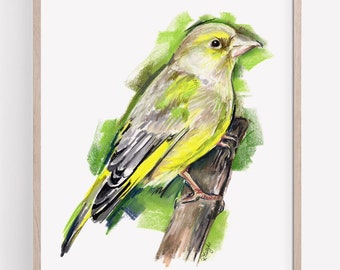 May include: A watercolor painting of a greenfinch perched on a branch. The bird is yellow and green with a gray head and a long tail. The background is a soft green.