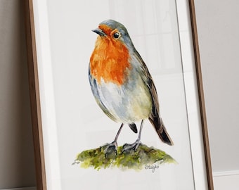 Robin Art PRINT, Bird Watercolor Painting Wall Art, Garden Bird Decor, Unique Gift, Print from Original Watercolour Painting Unframed