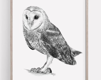 PRINTABLE Barn Owl Art Print, Bird of Prey Pencil Drawing, Owl Wall Art, Bird Sketch, Birder Wildlife Poster INSTANT DOWNLOAD