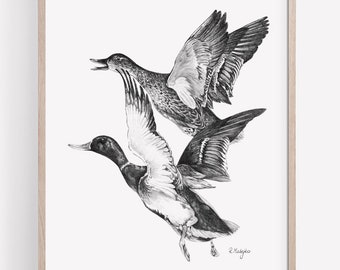 Flying Ducks Art PRINT, Mallard Duck Sketch, Coastal Birds Print from Original Pencil Drawing Unframed