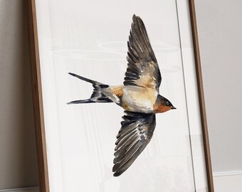 Barn Swallow Art PRINT, Bird Wall Art, Print from Original Watercolour Painting Unframed