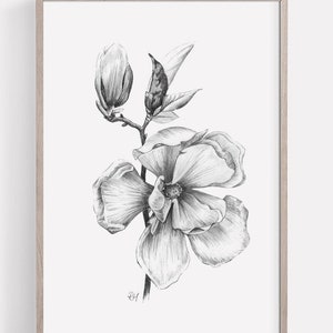 DRUCKBARE Magnolie Art Print, Graphite Buntstift Zeichnung, Botanische Wandkunst, druckbare Blumen Skizze, Natur Poster SOFORT-DOWNLOAD