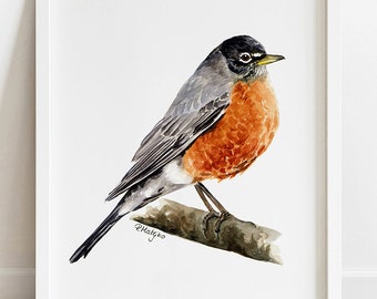 PRINTABLE American Robin Watercolor Art, Robin Painting, American Bird Decor, Turdus Migratorius Wildlife Poster INSTANT DOWNLOAD