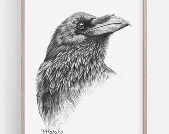 PRINTABLE Raven Print, Raven Bird Pencil Drawing Wall Art, Corvid Crow Bird Sketch, Wildlife Poster INSTANT DOWNLOAD