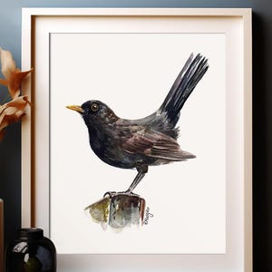 Blackbird Wall Art PRINT, Garden Bird Watching Gift, British Wildlife Art Print from Original Watercolour Painting