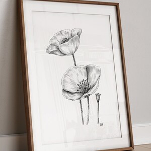 Poppies Art PRINT, Wildflower Wall Art, Nature Decor, Poppy Floral Sketch, Print from Original Pencil Sketch Unframed image 1