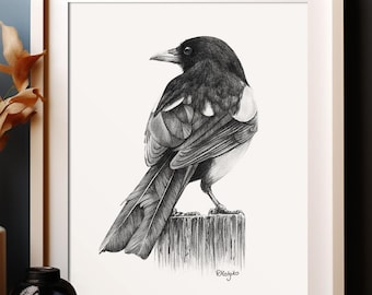 Magpie Art PRINT, Magpie Bird Pencil Drawing Wall Art, Corvid Crow Bird Sketch, Wildlife Print from Original Pencil Sketch Unframed