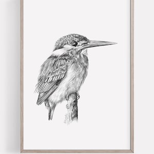 DRUCKBARE Eisvogel Kunstdruck, Eisvogel Bleistift Zeichnung Wandkunst, FlussVogel Skizze, Wildtier Poster SOFORT DOWNLOAD