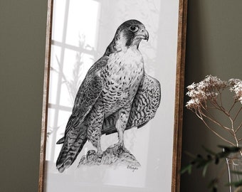May include: A framed black and white drawing of a falcon. The artwork is displayed on a wooden table. The drawing is detailed, showing the bird's feathers and features. The frame is a light brown color.