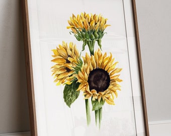 Sunflowers Art PRINT, Garden Flower Watercolor Painting Wall Art, Print from Original Watercolour Painting Unframed