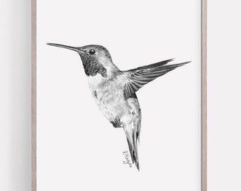 PRINTABLE Hummingbird Art Print, Hummingbird In Flight Pencil Drawing Wall Art, Tropical Bird Sketch, Wildlife Poster INSTANT DOWNLOAD