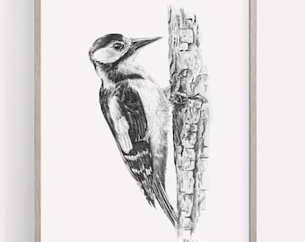 Lámina de pájaro carpintero imprimible, dibujo a lápiz de pájaro carpintero, arte de pared, boceto de pájaro del bosque, póster de vida silvestre, descarga instantánea