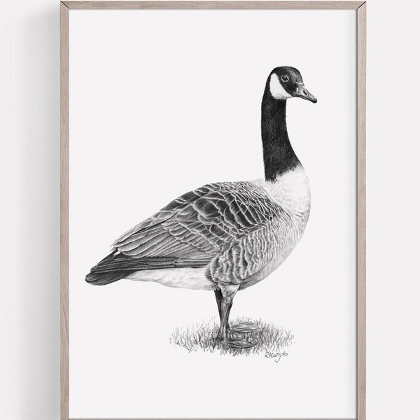 Canada Goose Art PRINT, Wild Goose Pencil Drawing Wall Art, Water Birds Art, Lake House Decor Print from Original Pencil Sketch Unframed