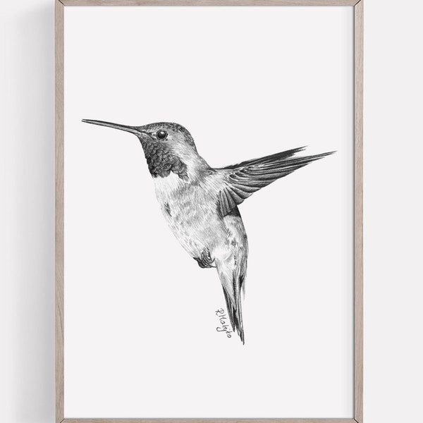 PRINTABLE Hummingbird Art Print, Hummingbird In Flight Pencil Drawing Wall Art, Tropical Bird Sketch, Wildlife Poster INSTANT DOWNLOAD