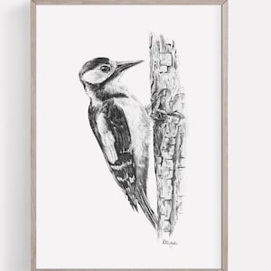 Lámina de pájaro carpintero imprimible, dibujo a lápiz de pájaro carpintero, arte de pared, boceto de pájaro del bosque, póster de vida silvestre, descarga instantánea