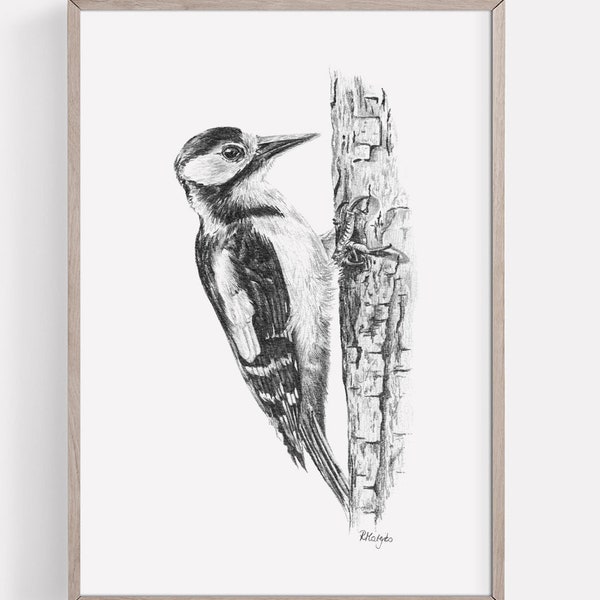 PRINTABLE Woodpecker Art Print, Woodpecker Bird Pencil Drawing Wall Art, Woodland Bird Sketch, Wildlife Poster INSTANT DOWNLOAD