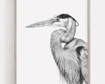 Impresión de arte mural de garza para imprimir, imagen de alta resolución, dibujo a lápiz de garza azul, boceto de pájaro, póster de vida silvestre natural, descarga instantánea