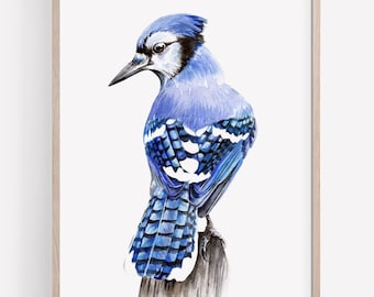 PRINTABLE Blue Jay Bird Watercolor Art, Blue Jay Painting, American Garden Bird Decor, Blue Bird Wildlife Poster INSTANT DOWNLOAD