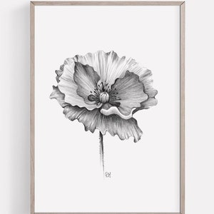 Druckbare MohnBlume Kunstdruck, Mohn Graphit Bleistift Zeichnung, druckbare botanische Wandkunst, Blumen Skizze, Natur Poster INSTANT DOWNLOAD