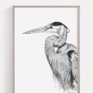 PRINTABLE Heron Wall Art Print, High Resolution Image, Great Blue Heron Pencil Drawing, Bird Sketch, Nature Wildlife Poster INSTANT DOWNLOAD