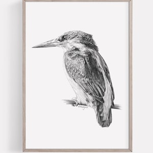IMPRIMIBLE Kingfisher Art Print, Kingfisher Bird Pencil Drawing Wall Art, River Bird Sketch, Wildlife Poster DESCARGA INSTANTÁNEA