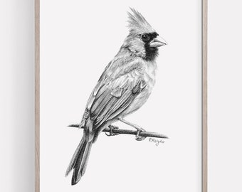 PRINTABLE Northern Cardinal Art Print, Red Cardinal Pencil Drawing Wall Art, Garden Bird Sketch, Wildlife Poster INSTANT DOWNLOAD