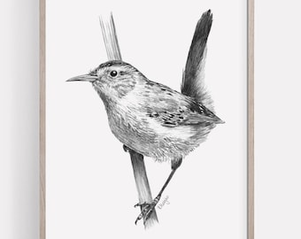 May include: A black and white pencil drawing of a small bird perched on a branch. The bird has a long tail and a pointed beak. The drawing is framed in a light wood frame.