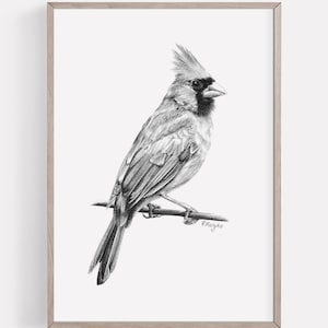 PRINTABLE Northern Cardinal Art Print, Red Cardinal Pencil Drawing Wall Art, Garden Bird Sketch, Wildlife Poster INSTANT DOWNLOAD