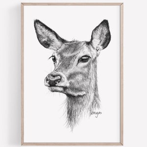Impresión artística de ciervo para imprimir, dibujo a lápiz de ciervo rojo, arte de pared, decoración de bosque de cervatillo, póster de vida silvestre, descarga instantánea