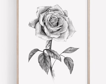 PRINTABLE Rose Art Print Graphite Pencil Drawing Botanical Wall