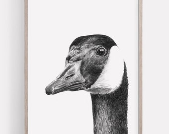 Goose Art PRINT, Wild Goose Pencil Drawing Wall Art, Water Birds Art, Lake House Decor Print from Original Pencil Sketch Unframed