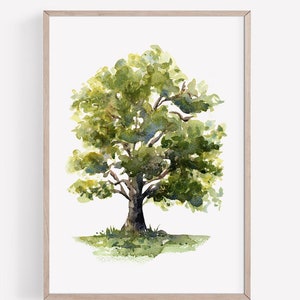 PRINTABLE American Oak Tree Art - Watercolor Oak Tree Print, Woodland Tree, Oak Tree Painting, Forest Bedroom, Instant Download ACC202