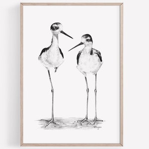 DRUCKBARE Stelzen Vögel Art Print, Watvögel Bleistift Zeichnung, Wasservogel Skizze Wand Kunst Natur Wildlife Poster SOFORTIGER DOWNLOAD
