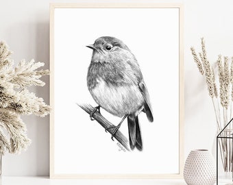 STAMPABILE Robin Wall Art Print, Pencil Drawing Wall Art, Bird Sketch, Garden Bird Art, Bird Watcher Gift Idea DOWNLOAD ISTANTANEO