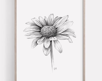PRINTABLE Daisy Art Print, Graphite Pencil Drawing, Botanical Wall Art, Garden Flower Sketch, Nature Poster INSTANT DOWNLOAD