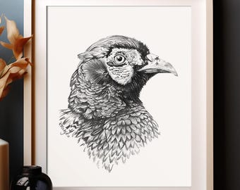 Pheasant Bird Art PRINT, Pheasant Pencil Drawing Wall Art, Game Bird Sketch, Woodland Animal Print from Original Pencil Sketch Unframed