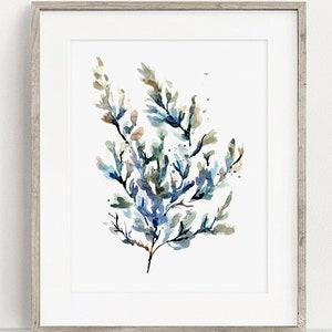 Seaweed Art PRINT, Watercolour Coastal Wall Art, Marine Bathroom Print from Original Painting