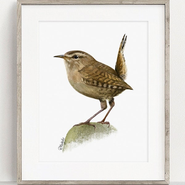 PRINTABLE Wren Wall Art Print, Wren Bird Digital Painting, Garden Bird Sketch Wildlife Poster, Bird Watcher Gift Wall Decor INSTANT DOWNLOAD