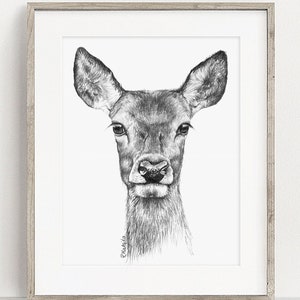 Deer Art PRINT, Red Deer Pencil Drawing Wall Art, Woodland Decor Animal Sketch, Wildlife Print from Original Pencil Sketch Unframed