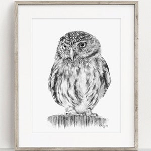 IMPRIMIBLE Little Owl Art Print, Bird of Prey Pencil Drawing, Owl Wall Art, Bird Sketch, Wildlife Poster INSTANT DOWNLOAD