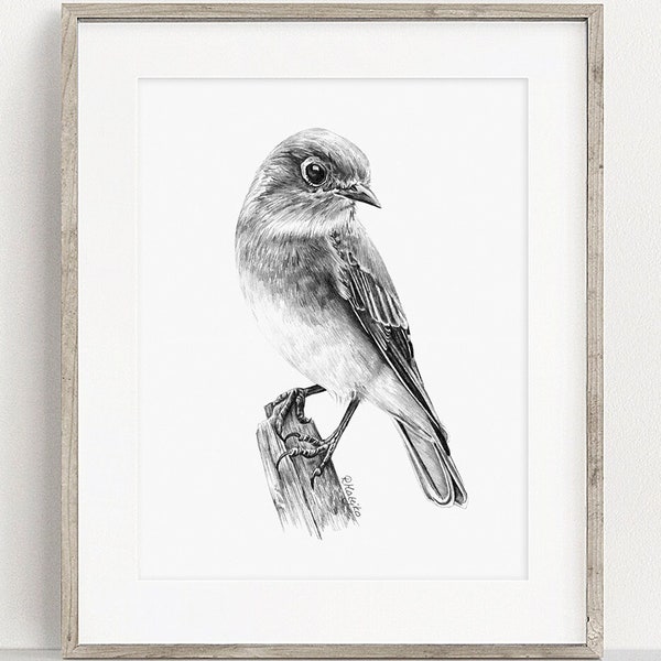 PRINTABLE Bluebird Art Print, Bluebird Pencil Drawing Wall Art, American Garden Bird Sketch, Wildlife Poster INSTANT DOWNLOAD