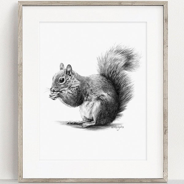 PRINTABLE Squirrel Art Print, Squirrel Pencil Drawing Wall Art, Forest Animal Sketch, Woodland Wildlife Poster INSTANT DOWNLOAD