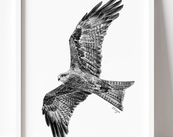 PRINTABLE Black Kite Art Print, Bird of Prey in Flight Art, Falconry Bird Sketch Wildlife Poster Decor INSTANT DOWNLOAD