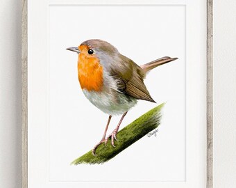 Robin Art PRINT, Bird Painting Wall Art, Garden Bird Decor, Robin Drawing, Unique Gift, Print from Original Painting Unframed