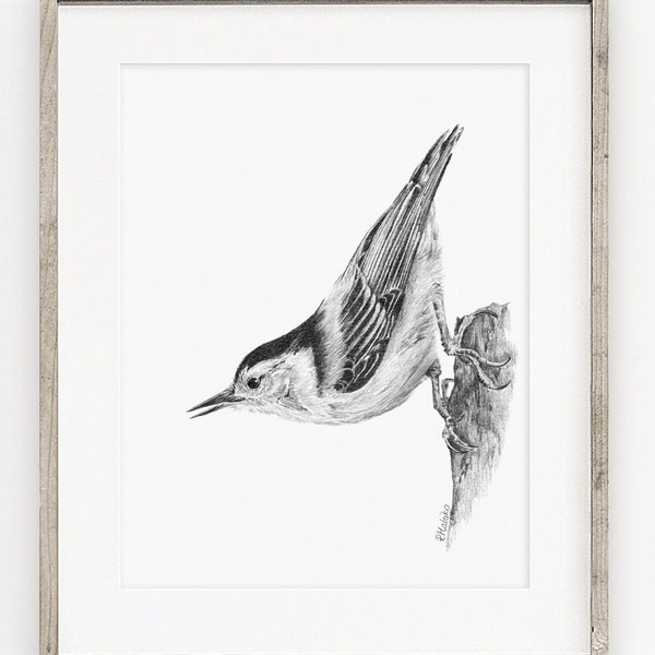 PRINTABLE Nuthatch Art Print, Nuthatch Pencil Drawing Wall Art, Garden Bird Sketch, Wildlife Poster INSTANT DOWNLOAD