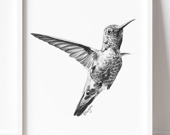 PRINTABLE Hummingbird Art Print, Hummingbird In Flight Pencil Drawing Wall Art, Tropical Bird Sketch, Wildlife Poster INSTANT DOWNLOAD